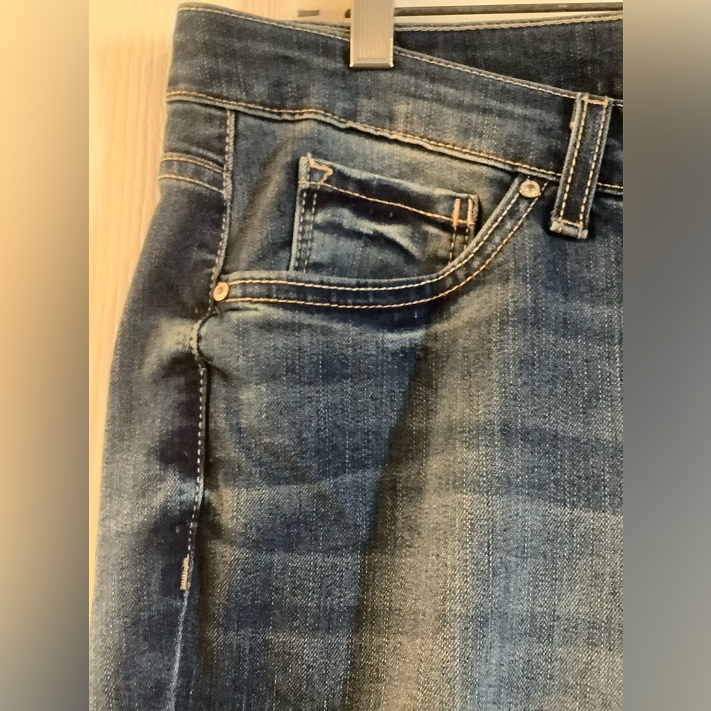 Vintage America brand Jeans Boho Straight Sz 16R33